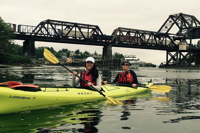 2 Hour Sound Tour - Puget Sound by kayak: why this area works so well