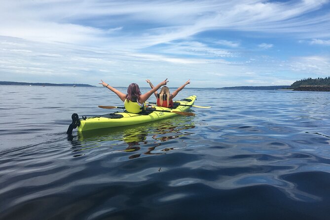 2 Hour Sound Tour - Wildlife-first route changes: seals, sea lions, and birds