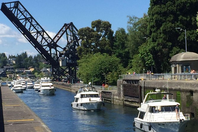3 Hour Show Me Seattle Best Of The City Tour - Central Waterfront landmarks and where they fit into your day