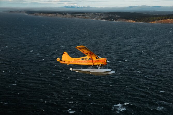 3 Hours San Juan Island Seaplane Tour from Seattle - Key Points to Know Before You Fly