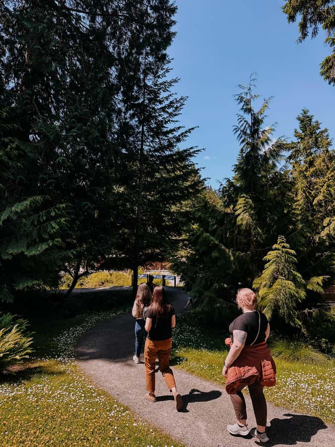 Bainbridge Island Discovery Tour - Who This Tour Fits Best