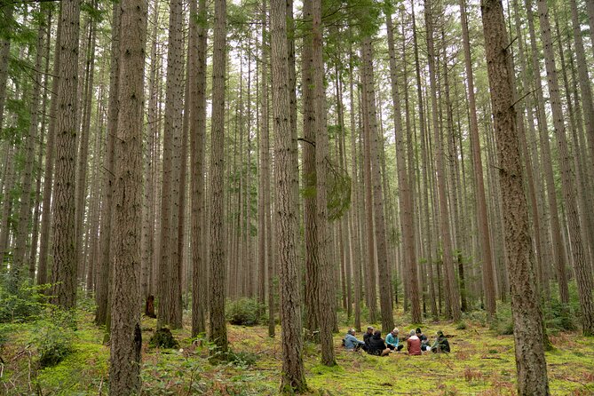 Bainbridge Island Serenity Forest Hike & Cultural Landmarks Tour - Key highlights you can plan around
