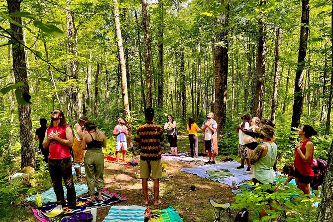 Bainbridge Island Serenity Forest Hike & Cultural Landmarks Tour - Price and logistics: is $235 per person worth it?