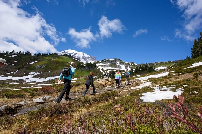 Best of Mount Rainier National Park from Seattle: All-Inclusive Small-Group Tour - Food, Coffee, Snacks, and Comfort: The Stuff That Makes a Long Day Work