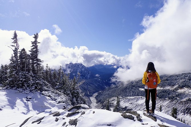 Best of Mount Rainier National Park from Seattle: All-Inclusive Small-Group Tour - Weather, Road Closures, and Why Your Guide’s Flexibility Matters