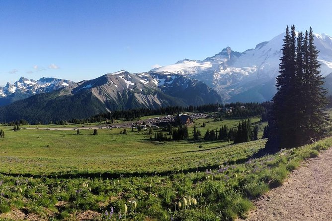 Best of Mount Rainier National Park from Seattle: All-Inclusive Small-Group Tour - Who Should Book This Mt. Rainier Highlights Tour From Seattle