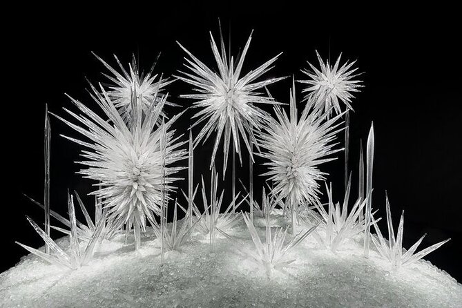 Chihuly Garden and Glass in Seattle Ticket - Hours in Seattle Center Season: Set Your Expectations Early