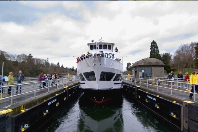 City Sightseeing Seattle HOHO Bus and Locks or Harbour Cruise - Who this works best for, and who should think twice