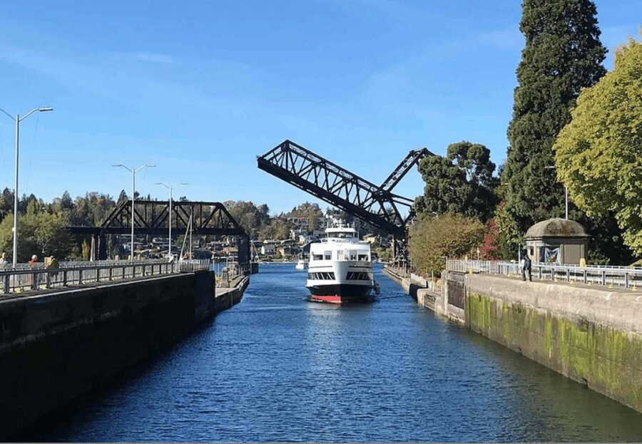 City Sightseeing Seattle: HOHO Bus Tour + Locks Cruise - Pioneer Square on Foot: The Audio Walk That Adds Meaning