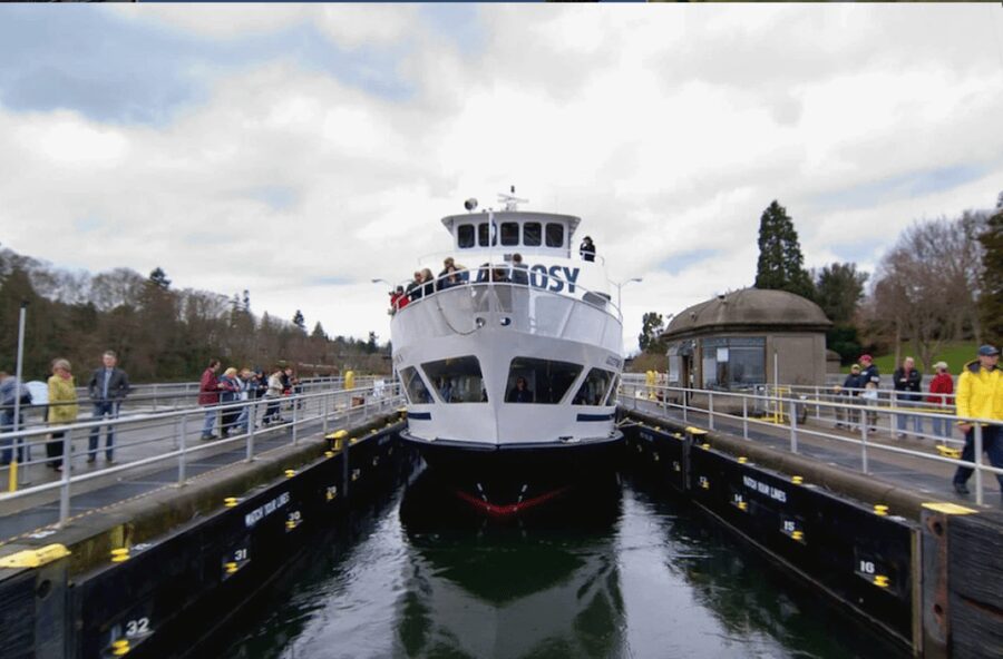 City Sightseeing Seattle: HOHO Bus Tour + Locks Cruise - Getting Your Day to Flow: A Simple Sample Plan