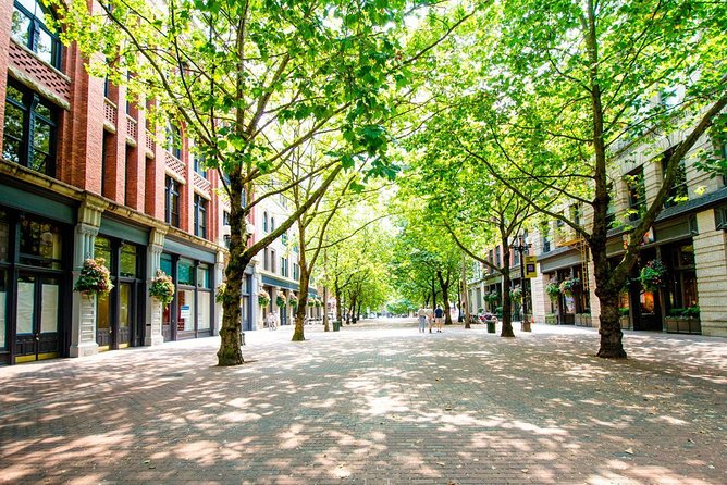 CitySightseeing Seattle Hop-On Hop-Off Bus Tour + Bookable Extras - Who should book this Seattle hop-on tour?