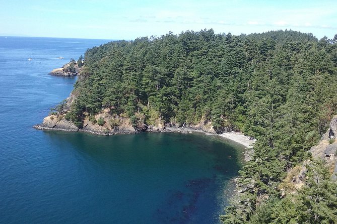 Deception Pass Bridge Island Tour from Seattle - Ferry ride value: included movement and better timing