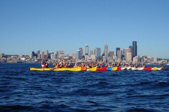 Elliott Bay Sea Kayak Tour - Urban wildlife and guide spotting tips that actually help