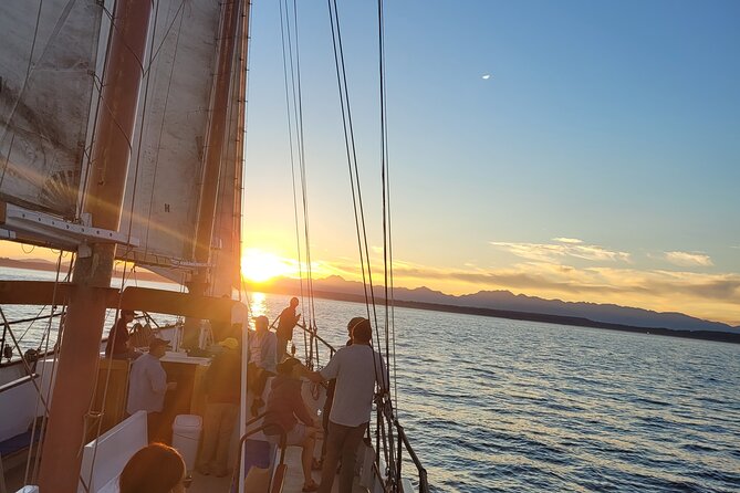 Evening Colors Sunset Sail Tour in Seattle - Seattle waterfront, Space Needle views, and the postcard angle