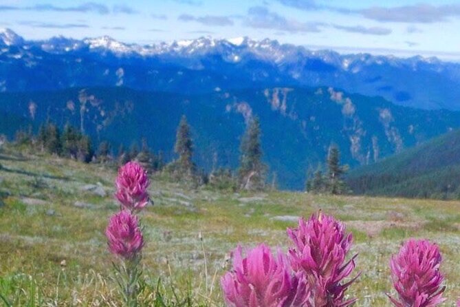 Explore Olympic National Park from Seattle through Van /Ferry - Bainbridge Island ferry: a scenic start that saves hassle