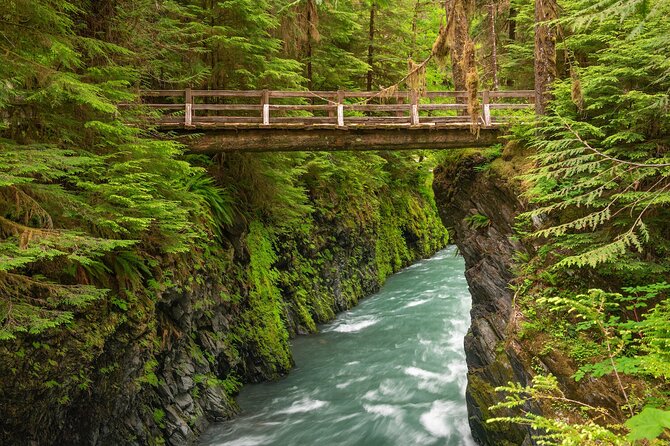 Explore Olympic National Park from Seattle through Van /Ferry - Olympic Game Farm: a fun animal stop, but budget for admission