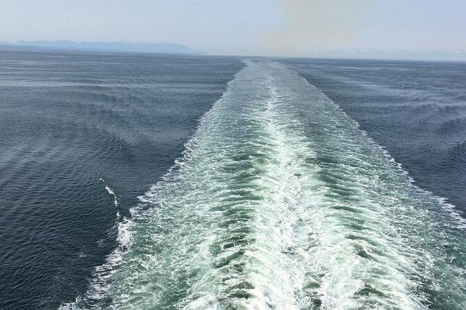 Explore Olympic National Park from Seattle through Van /Ferry - Price and value: $335 per person is not “just transportation”