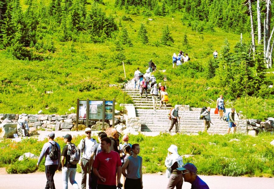 From Seattle: Customized Mount Rainier Tour - Seattle to Rainier, without the stress