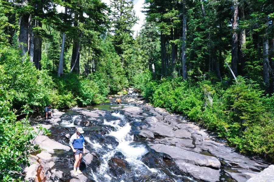 From Seattle: Customized Mount Rainier Tour - Ashford and the approach into Mount Rainier National Park
