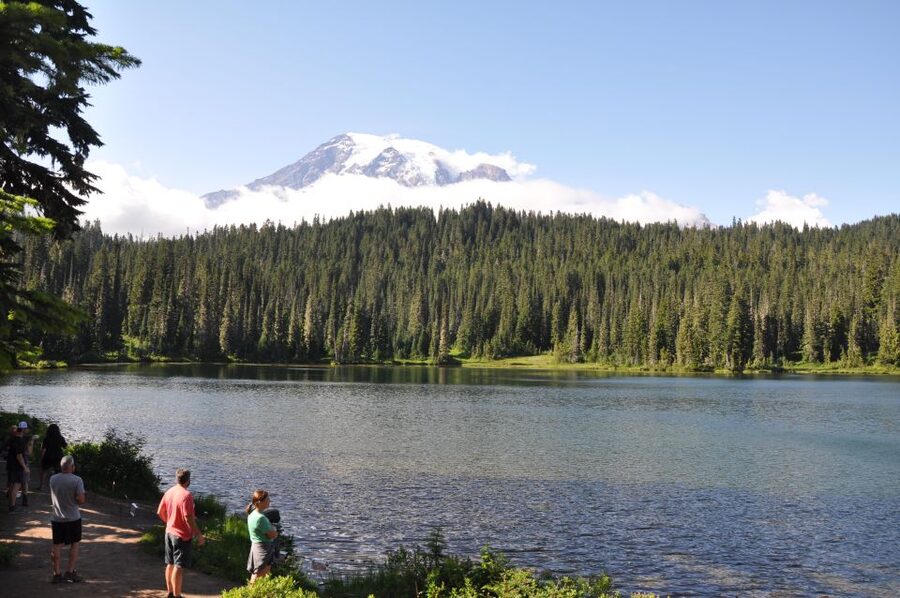 From Seattle: Customized Mount Rainier Tour - Nisqually River viewpoints: where the park starts telling its story