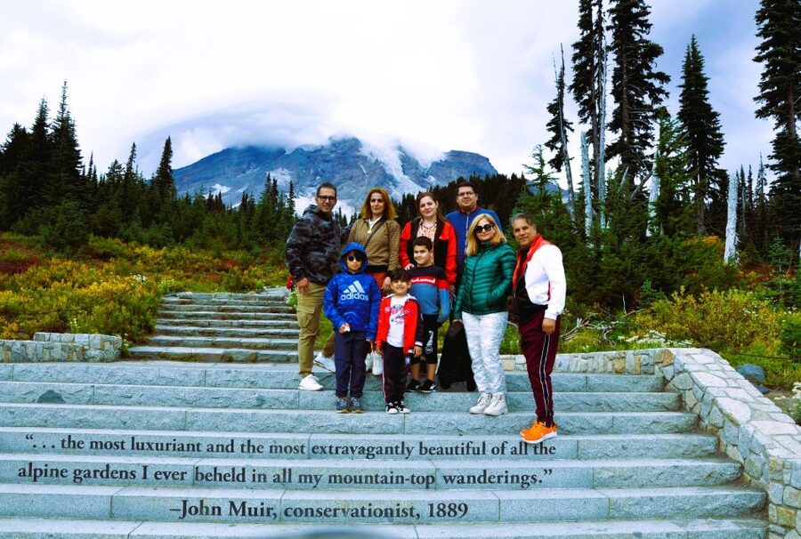 From Seattle: Customized Mount Rainier Tour - Christine Falls and Narada Falls: the fast-hit waterfall experience