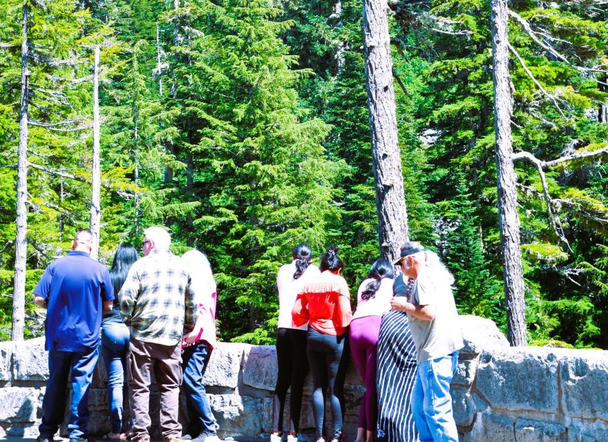 From Seattle: Customized Mount Rainier Tour - Reflection Lake, Myrtle Falls, and the “easy walk” rhythm