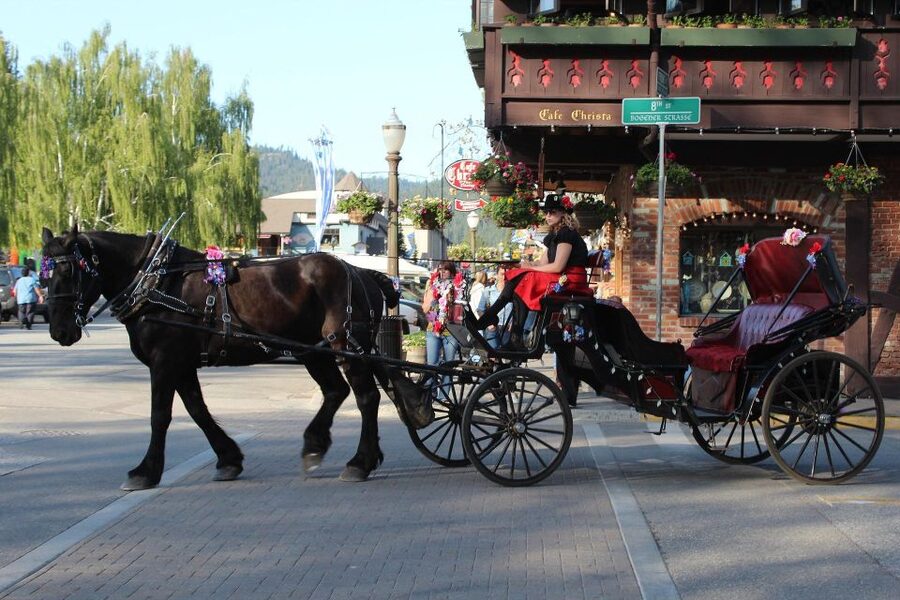 From Seattle: Day Trip Through The Cascades to Leavenworth - Why Leavenworth feels so magical from Seattle