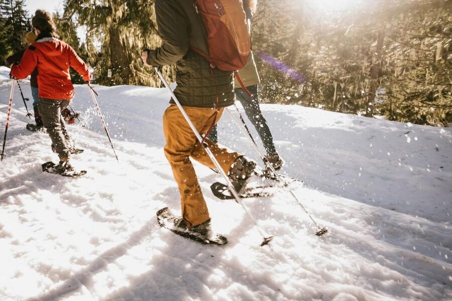 From Seattle: Day Trip Through The Cascades to Leavenworth - Price and value: what you’re paying for at $281