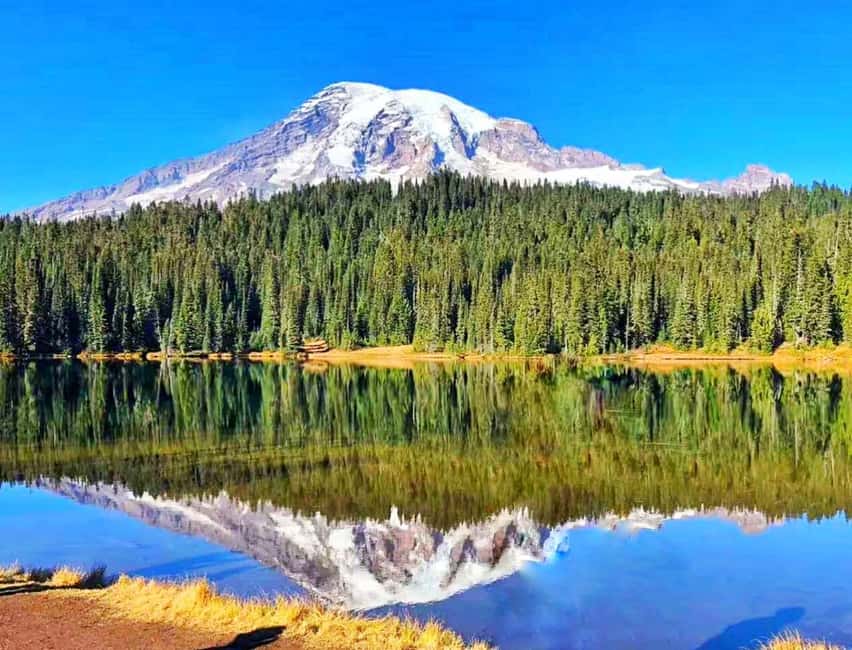 From Seattle: Mount Rainier Guided Day Tour - Key highlights to know before you go