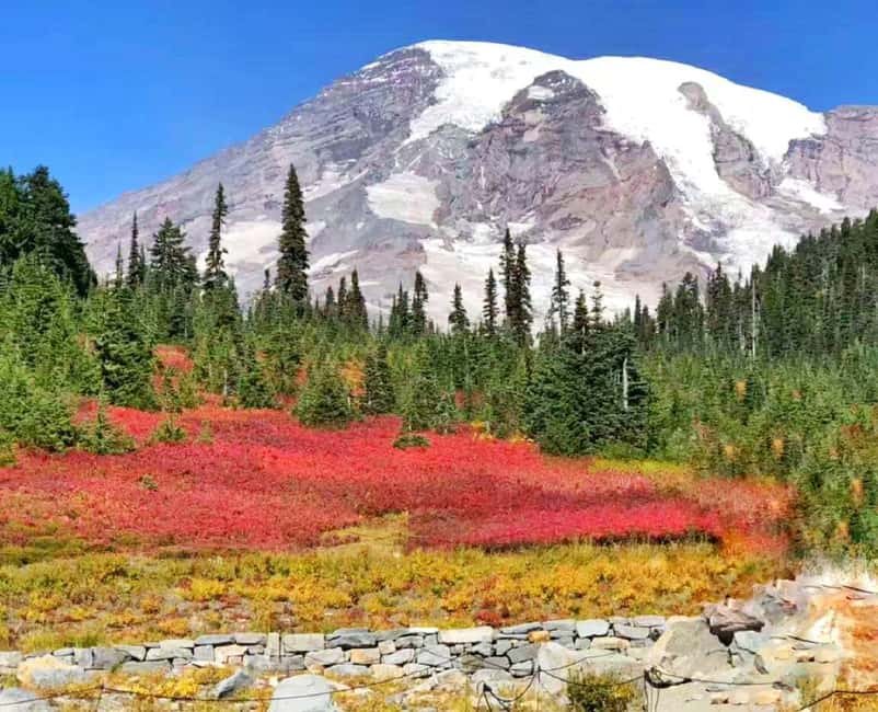 From Seattle: Mount Rainier Guided Day Tour - The summer itinerary: Longmire, waterfalls, Paradise, Reflection Lakes