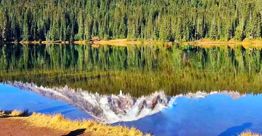 From Seattle: Mount Rainier Guided Day Tour - Weather is the real itinerary editor