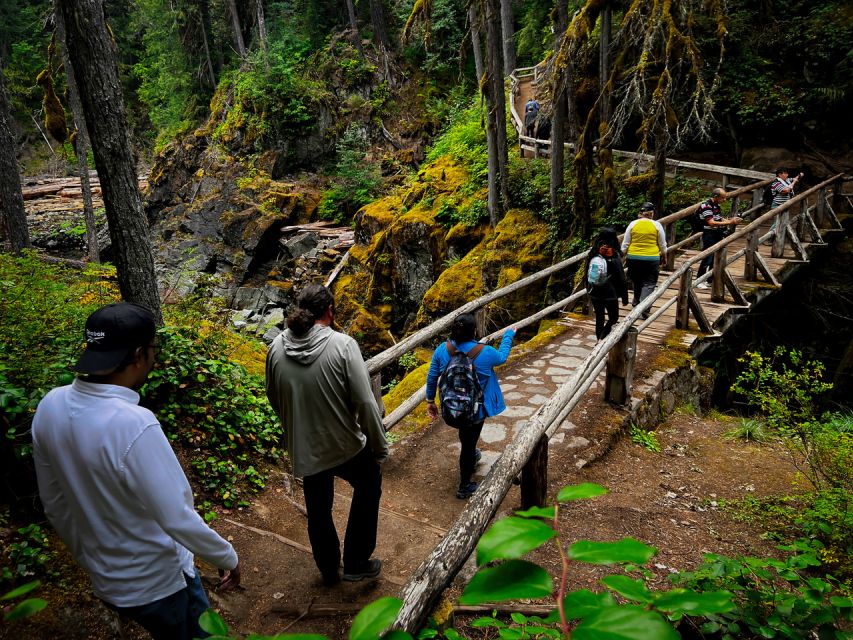 From Seattle: Mount Rainier National Park Guided Tour - Key highlights worth marking on your map