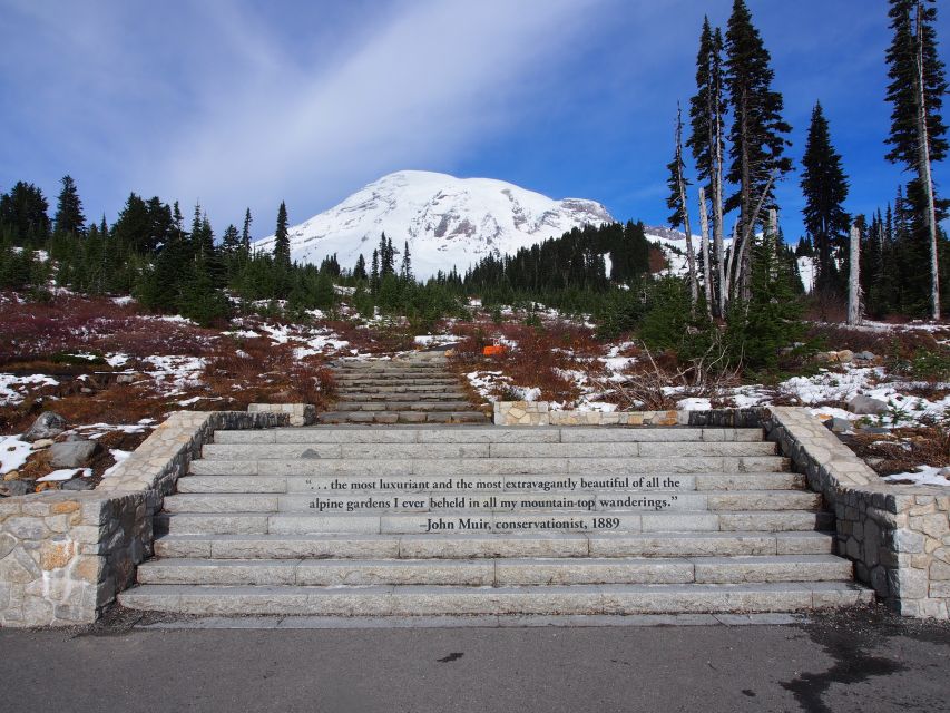 From Seattle: Mount Rainier National Park Guided Tour - Summer Rainier: old-growth forests, meadows, and waterfalls