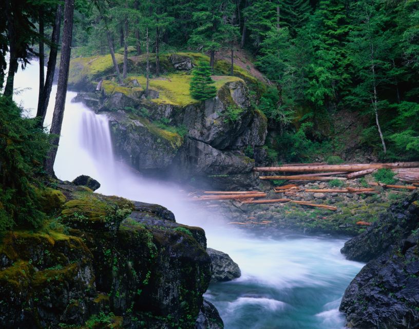 From Seattle: Mount Rainier National Park Guided Tour - Visitor Center time: plants, wildlife, and why it matters