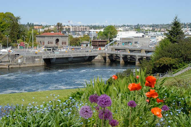 From Seattle: Private Seattle City Tour - Driving Through CenturyLink Field to Chinatown and the International District