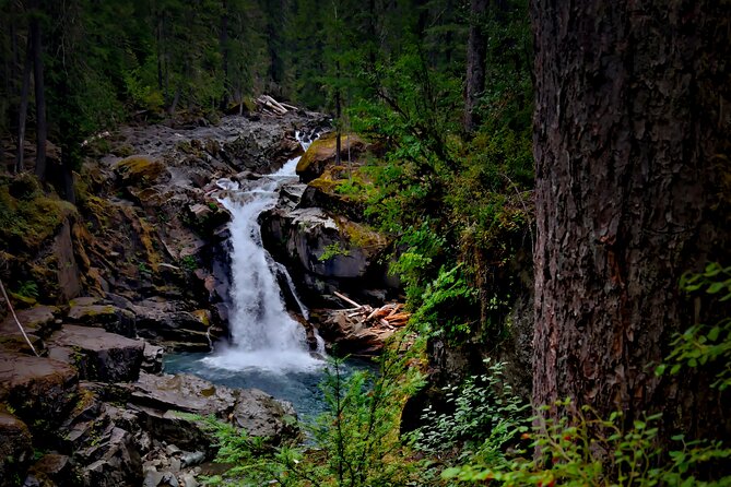 From Seattle: Private Tour to Mt. Rainier - Why This Private Seattle To Mount Rainier Day Works