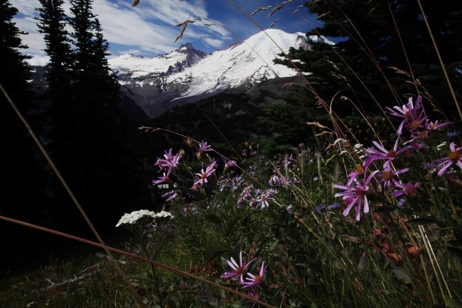 From Seattle: Private Tour to Mt. Rainier - The 7:00 AM Departure, And What That Buys You