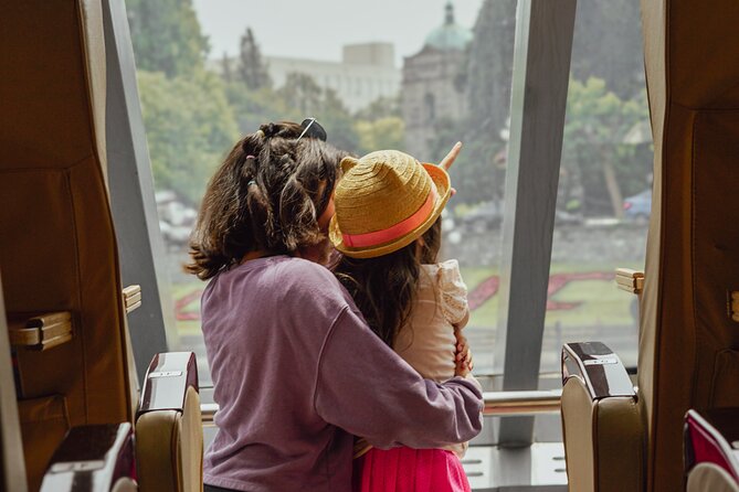 From Seattle: Round Trip by High Speed Ferry to Victoria, BC - Onboard amenities: cafe, duty-free, and what to budget