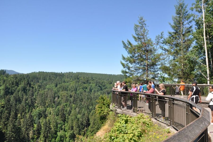 From Seattle: Snoqualmie Falls and Wineries Tour w/ Transfer - Guides and group size: why the day feels smooth in a small van