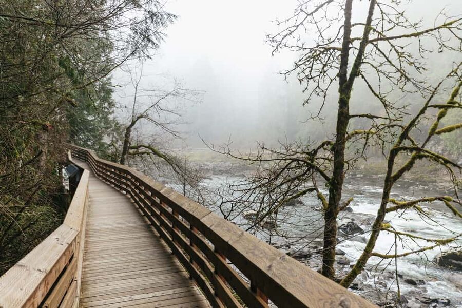 From Seattle: Visit Snoqualmie Falls and Hike to Twin Falls - Who this tour suits best, and who should think twice