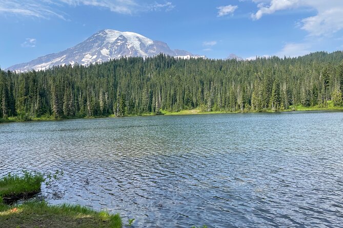 Full-Day Mt Rainier National Park Private Tour in SUV - Stop 5: Christine Falls viewpoint for a quick scenic break