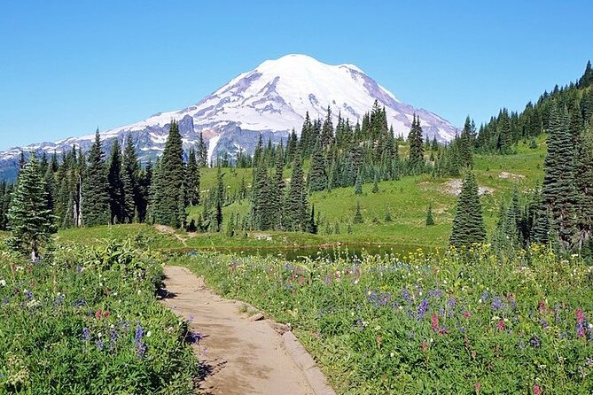 Full-Day Mt Rainier National Park Private Tour in SUV - What you really pay for: planning, transport, and timed park stops