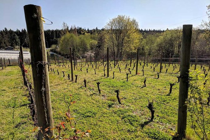 Full-Day Small-Group Bainbridge Island Wine and History Tour - Key things I’d bet on before you go