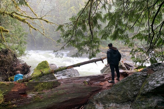 Guided forest hike to Seattle waterfalls incl. Snoqualmie Falls - A tight half-day route that turns Seattle into waterfall country