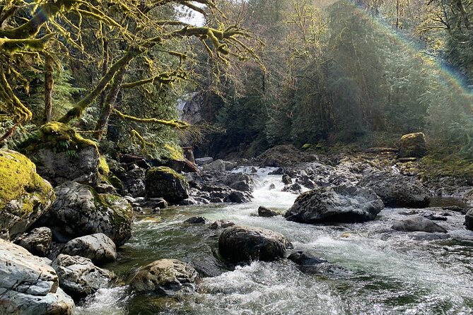 Guided forest hike to Seattle waterfalls incl. Snoqualmie Falls - North Bend and Snoqualmie town stops: logging-era details plus pop culture flavor