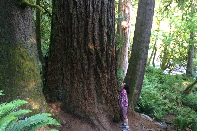Guided forest hike to Seattle waterfalls incl. Snoqualmie Falls - Getting picked up in downtown Seattle, with room to breathe
