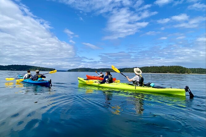 Guided Kayak Tour To Hope Island State Park - Key things to know before you paddle