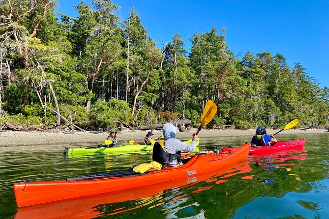 Guided Kayak Tour To Hope Island State Park - Stop on Hope Island: trails, old growth, and a shoreline reset