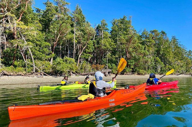 Guided Kayak Tour To Hope Island State Park - Wildlife spotting etiquette: how to actually see seals, sea lions, and eagles