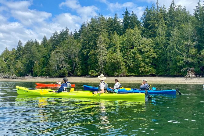 Guided Kayak Tour To Hope Island State Park - Who this tour fits best, and who might want to think twice